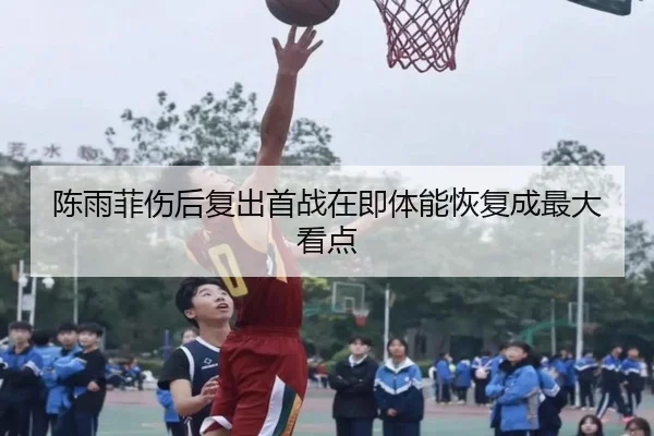 陈雨菲伤后复出首战在即体能恢复成最大看点