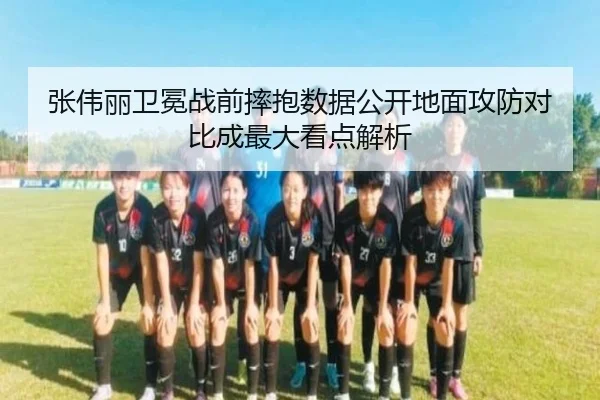 张伟丽卫冕战前摔抱数据公开地面攻防对比成最大看点解析